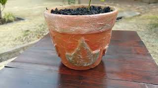 Flower Pot Ideas Easy DIY Recycle [upl. by Anauqed603]