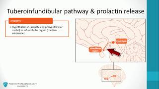 Antipsychotics Dopaminergic Pathways and Advanced Mechanisms [upl. by Aicsile]