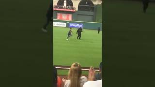 Fan STOPS Entire Baseball Game 😱 [upl. by Petulah]