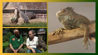 Wildtierauffangstation Rastede  TierheimTV unterwegs in NDS [upl. by Rayle494]