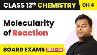 Molecularity of Reaction  Chemical Kinetics  Class 12 Chemistry Chapter 4 202223 [upl. by Neda]