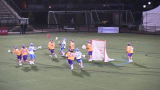 2014 Albany vs Johns Hopkins Lacrosse Highlights [upl. by Ytsirt]