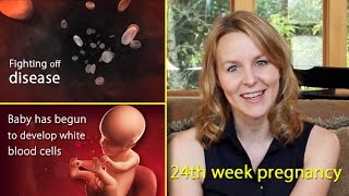 24 Weeks Pregnant Watch the Growth of Your Baby this Week [upl. by Veron619]