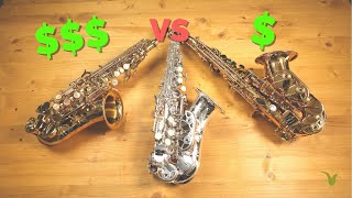 Cheap vs Expensive Curved Soprano Saxophones [upl. by Eirrol646]