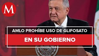 AMLO prohíbe uso de agroquímico en México [upl. by Eigriv351]