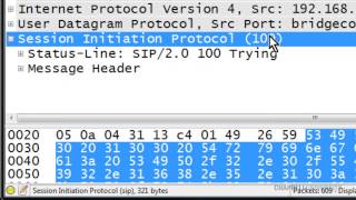 Detect SIP Errors with Wireshark [upl. by Ransom770]