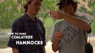 Coalatree  How to hang a hammock [upl. by Eitsyrhc275]