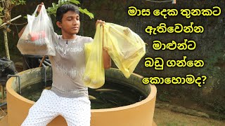 මාළුන්ට අවශ්‍යම බඩු  Shopping for Aquarium stuff [upl. by Sluiter]