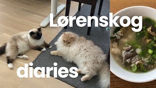 Norway vlog  catsitting cooking korean oxtail soup [upl. by Clarabelle699]