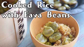 The Best Way to Eat Fava Beans Japanese Style [upl. by Ahsirat]