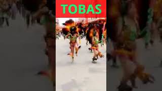 tobas short 2 kalamarka Bolivia danzasbolivianas [upl. by Azil]