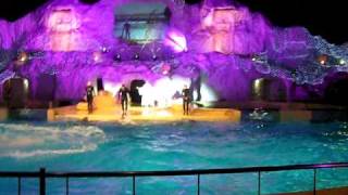 Dolfinarium  Finale kerstshow [upl. by Olleina]