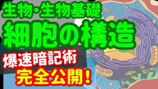 【生物基礎 1】細胞【細胞小器官】を宇宙一わかりやすく [upl. by Anitan]