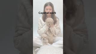 Capstar Flea Tablets for Dogs and Cats Buy Capstar Online [upl. by Anaujd]