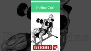 Long Head Bicep Dumbbell Exercises [upl. by Oicam]