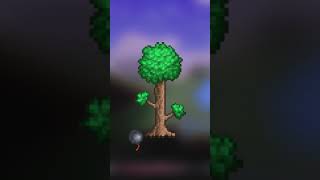 3 Terraria Seeds You Should Try [upl. by Nnyla]