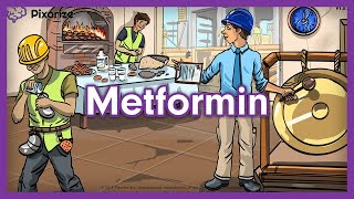 Metformin USMLE Mnemonic [upl. by Faden]