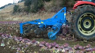 LEMKEN Heliodor9200KSY YANMAR EG105 キャベツ [upl. by Konopka]