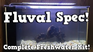 Fluval Spec Unboxing and Set Up KGTropicals [upl. by Nosae728]