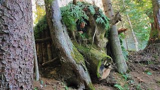 Building Warm Bushcraft Survival Shelter in the Forest Fireplace Catch and Cook Solo Camping [upl. by Trager524]