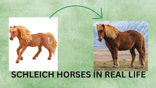 schleich horses in real life 🌹Schleich Rose🌹 [upl. by Finnegan]