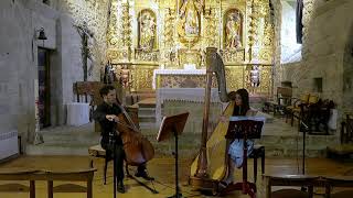 Le Cygne  Camille SaintSaëns  Duo Pierres Vives [upl. by Airbmat]