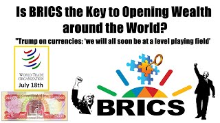 IRAQ amp the WTO Meeting Is BRICS the Key to Opening Wealth Around the World [upl. by Aynna289]