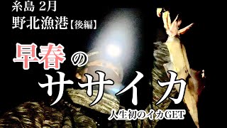 【福岡釣部 in 糸島釣り】 097 後編 【福岡 糸島 野北漁港でリベンジのササイカ釣り！初のイカ釣りゲットなるか？ゴミ拾いの御利益！】 福岡釣部 Fukuoka Japan Fishing [upl. by Euqinahc]