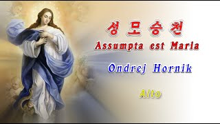 성모승천Assumpta est Mariaondrej Hornik Alto [upl. by Keelia]