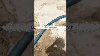 small sand pump with big sand output [upl. by Erdried]