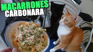 HAGO MACARRONES CARBONARA [upl. by Redyr]