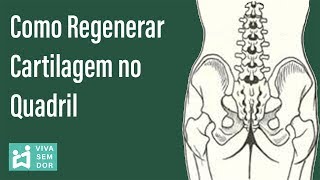 Como regenerar cartilagem no quadril [upl. by Waylen]