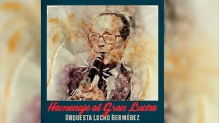 Homenaje al Gran Lucho  Orquesta de Lucho Bermúdez [upl. by Kurtis]