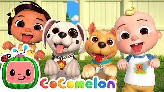 Puppy Play Date  CoComelon Nursery Rhymes amp Kids Songs [upl. by Bore]