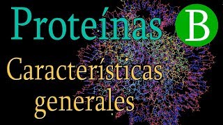 ¿Qué son las Proteínas  Parte I [upl. by Gretel]