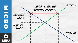 Price Floors The Minimum Wage [upl. by Teriann]