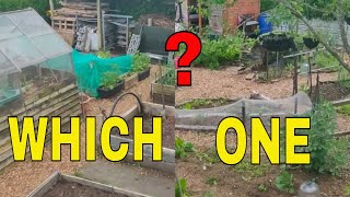 RAISED BEDS OR NO DIG  ALLOTMENT GARDENING FOR BEGINNERS [upl. by Sandler104]