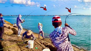 This Only Happens ONCE A YEAR Jetty Fishing [upl. by Frederick]