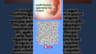 24 வாரத்தில் வயிற்றில் உள்ள குழந்தைக்கு காது கேட்குமா [upl. by Weisberg]