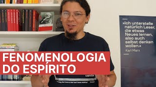 Hegel e a quotFenomenologia do Espíritoquot  dicas metodológicas e indicações bibliográficas [upl. by Thorn]