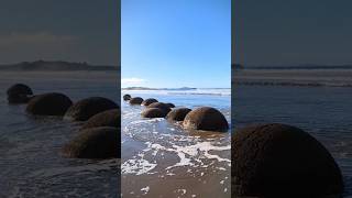 Moeraki Boulders Dunedin shortsvideo shorts shortsviral dunedin geologicalwonders ✨ [upl. by Sajet72]