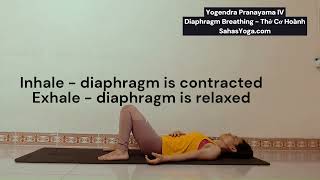 Diaphragm Breathing to calm your Mind Thở Cơ Hoành Thư Giãn  Ngủ Ngon  Yogendra Pranayama IV [upl. by Lurette]