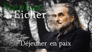 Stephan Eicher Déjeuner en paix Karaoke [upl. by Ruperto]