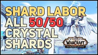 Shard Labor WoW All Anima Crystal Shards [upl. by Ehgit]