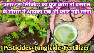 बरसात के मौसम में आपके पौधे को बचानेवाली संजीवनी बुटी PesticidesFungicideLiquid Fertilizer [upl. by Pyotr274]