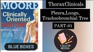 PART 1  THORAX CLINICALS  PLEURA  LUNGS  TRACHEOBRONCHIAL TREE  KLM  CLINICAL in 5 minutes [upl. by Tremann]