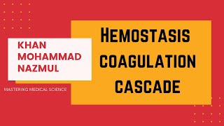 Hemostasis  coagulation cascade  Blood physiology  বাংলা [upl. by Andriette]