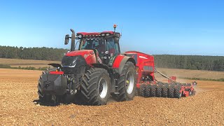 Setí Řepky 2023 Case IH Optum 270  Horsch Pronto 6 DC [upl. by Silera]