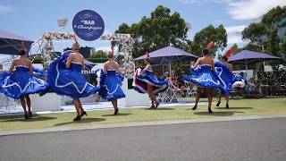 CanCan Dancers Melbourne  Showreel [upl. by Fihsak]