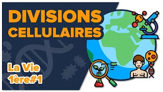 Les divisions cellulaires des eucaryotes SVT  LA VIE 1ère spé 1  Mathrix [upl. by Rasure]